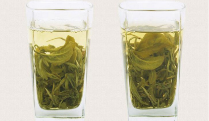选择志新饮品加盟 以优质茶叶为核心的成功之道