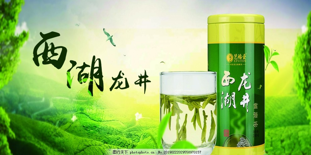 西湖龙井 一杯春色里的中国茶韵